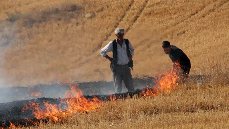 Anızını Yakma, Geleceğini Karartma