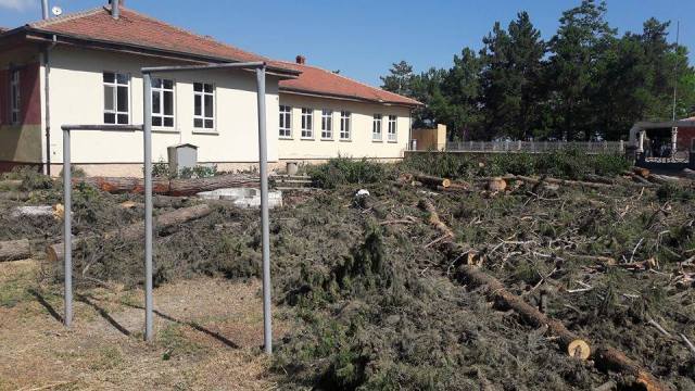 ?OKUL ? YAPILACAK DİYE  ÇOK SAYIDA  AĞAÇ KESİLDİ?.
