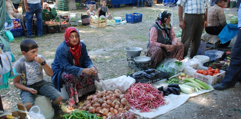 Pınar Pazarı Yarın Açılıyor...