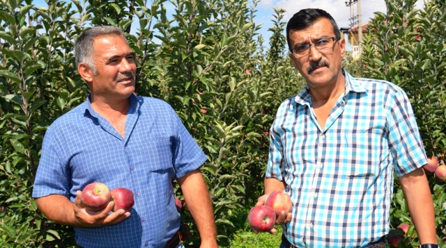 Elma?da Hasat Öncesi Önemli Uyarılar