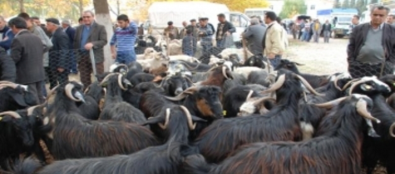 Kurban Bayramı Hazırlıkları Tamamlandı