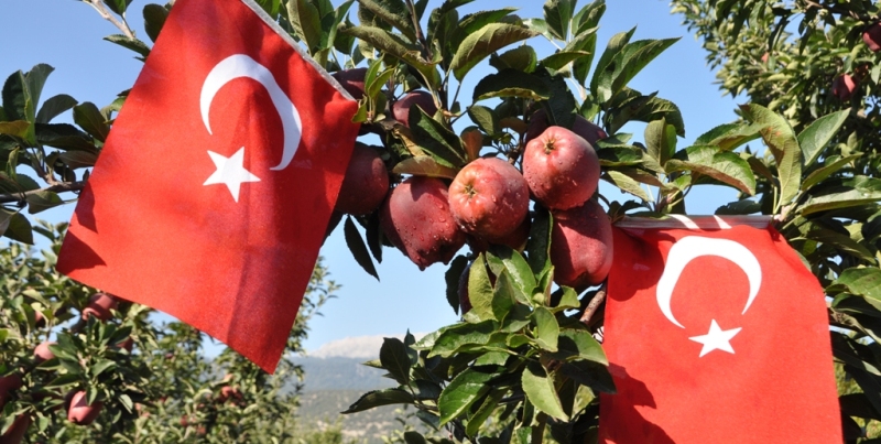 ELMAMIZIN KURTULUŞU NEREDE?...