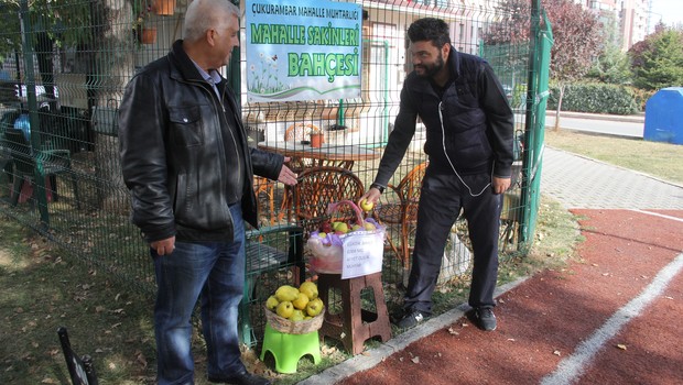 MUHTAR İHSAN GÜLBUDAK?TAN MAHALLE SAKİNLERİNE ELMA İKRAMI