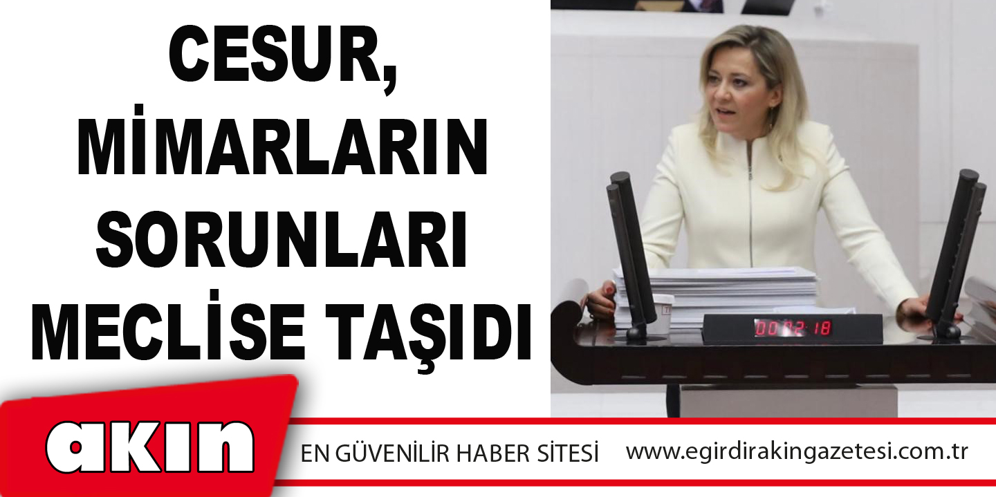 Cesur, Mimarların Sorunları Meclise Taşıdı