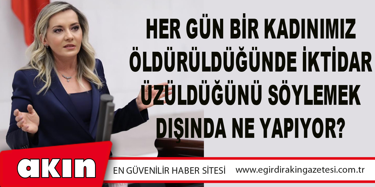 İYİ Parti Milletvekili Aylin Cesur: 