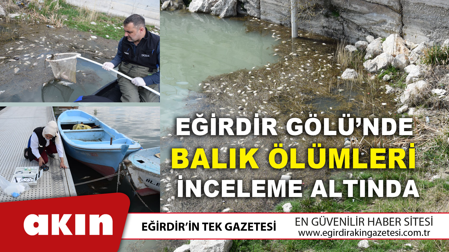 Eğirdir Gölü’nde Balık Ölümleri İnceleme Altında