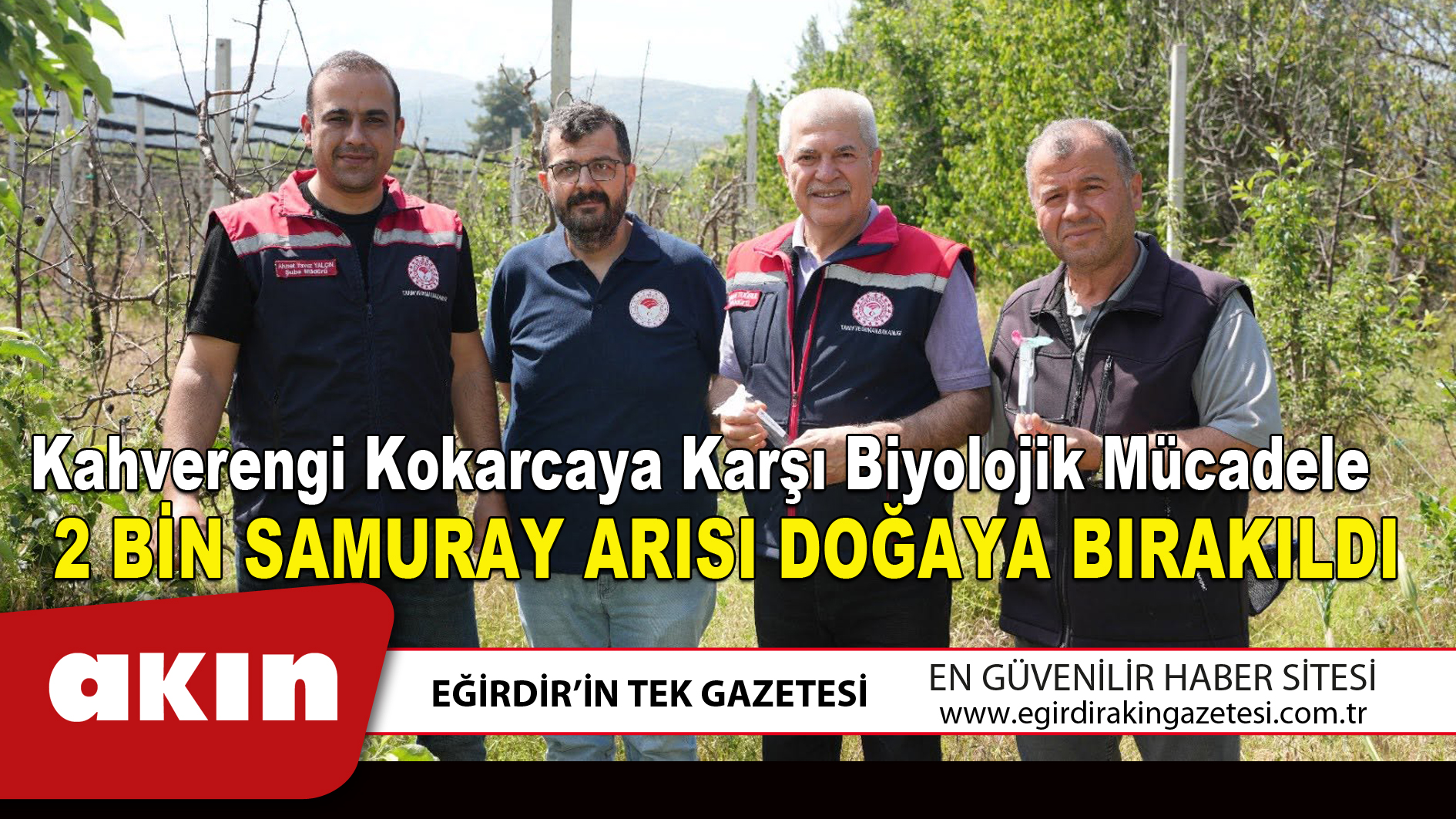 2 BİN SAMURAY ARISI DOĞAYA BIRAKILDI