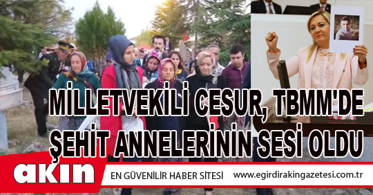 MİLLETVEKİLİ CESUR, TBMM'DE ŞEHİT ANNELERİNİN SESİ OLDU