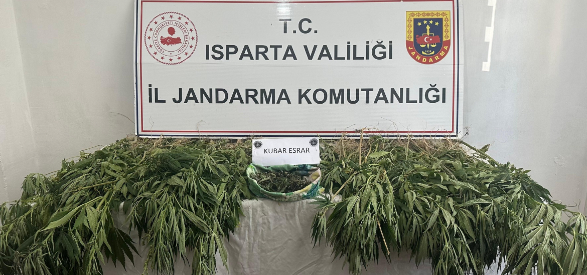 eğirdir haber,akın gazetesi,egirdir haberler,son dakika,Senirkent’te 232 Kök Kenevir ve 128 Gram Kubar Esrar Ele Geçirildi