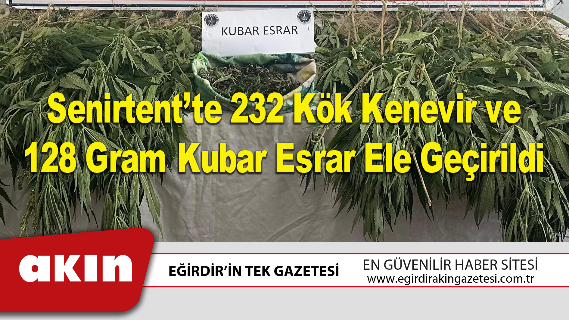 Senirtent’te 232 Kök Kenevir ve 128 Gram Kubar Esrar Ele Geçirildi