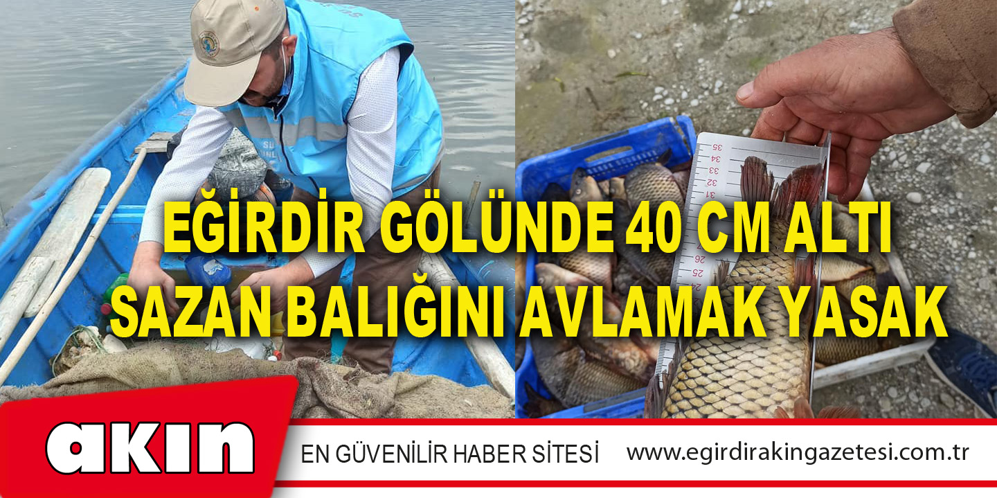 EĞİRDİR GÖLÜNDE 40 CM ALTI SAZAN BALIĞINI AVLAMAK YASAK