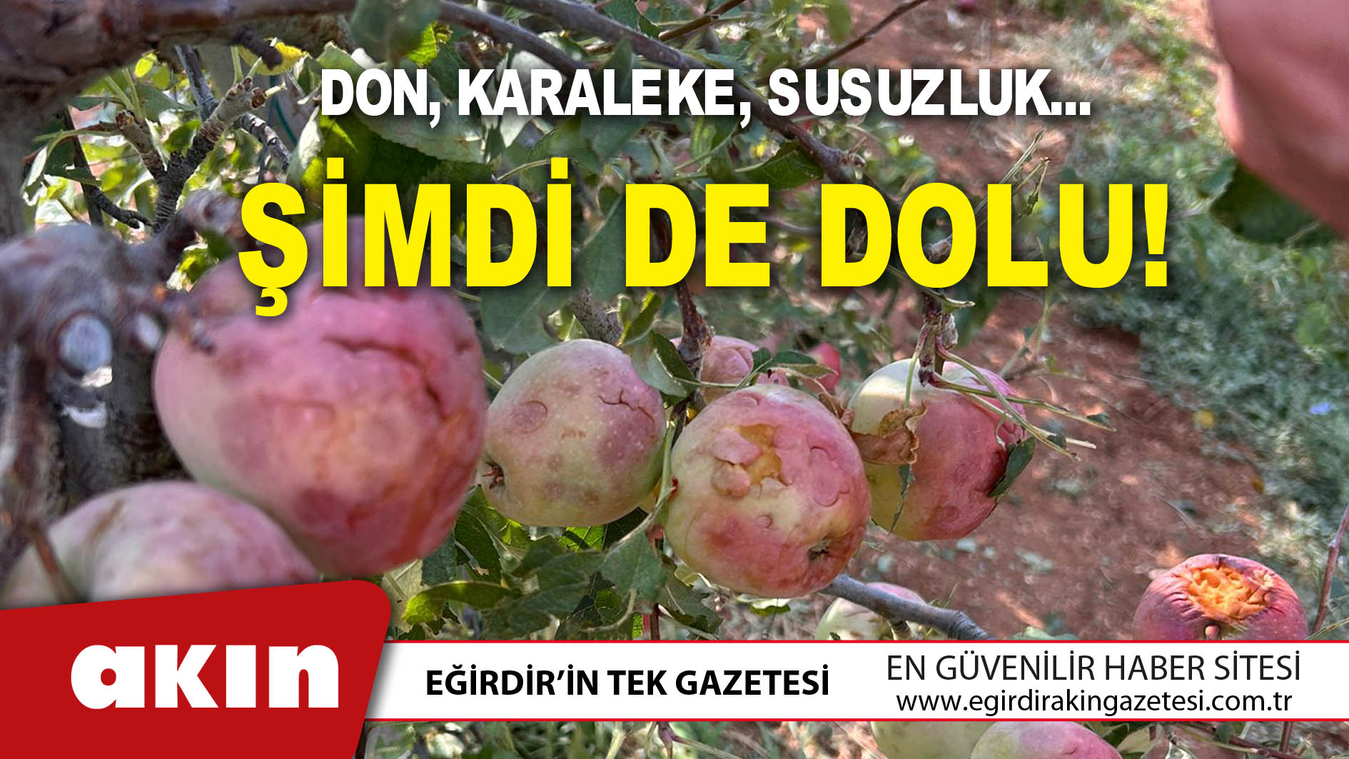 Elma Bahçelerini Dolu Vurdu