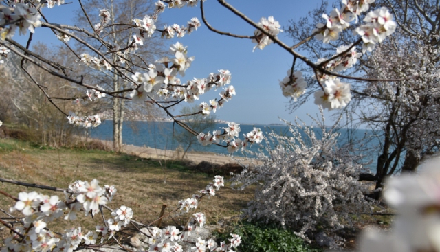 CittaSlow kenti Eğirdir'e bahar geldi