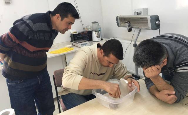 Yağ Balığı Üretiminde Üniversite ve Eğirdir SAREM Elele
