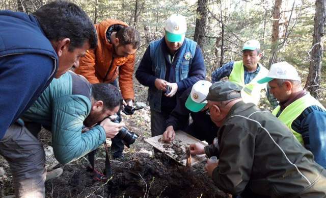 BİYOLOJİK MÜCADELENİN KAHRAMANLARI MEKAN DEĞİŞTİRDİ
