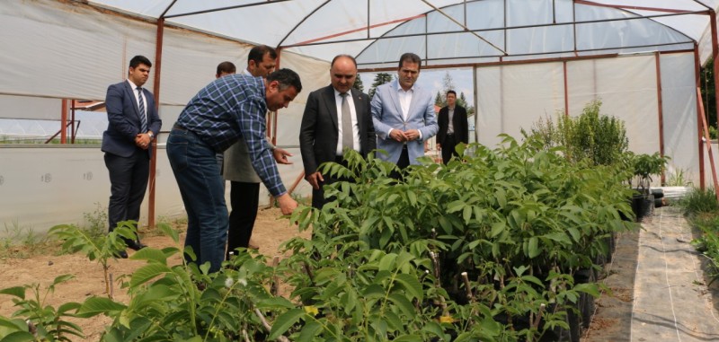 VALİ GÜNAYDIN MAREM?DE İNCELEMELERDE BULUNDU