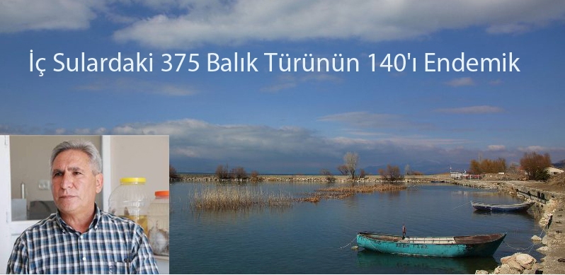 İç Sulardaki 375 Balık Türünün 140'ı Endemik