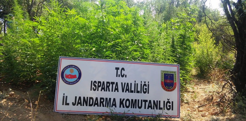 Yalvaç ve Gelendost İlçelerinde Uyuşturucu Operasyonu