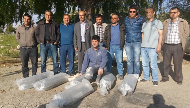 Eğirdir Gölü'ne 450 Bin Sazan Yavrusu Salındı