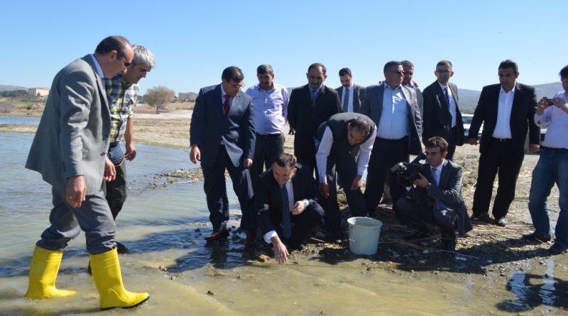 BEYŞEHİR GÖLÜ SULAK ALANINA SAZAN BALIĞI SALINDI