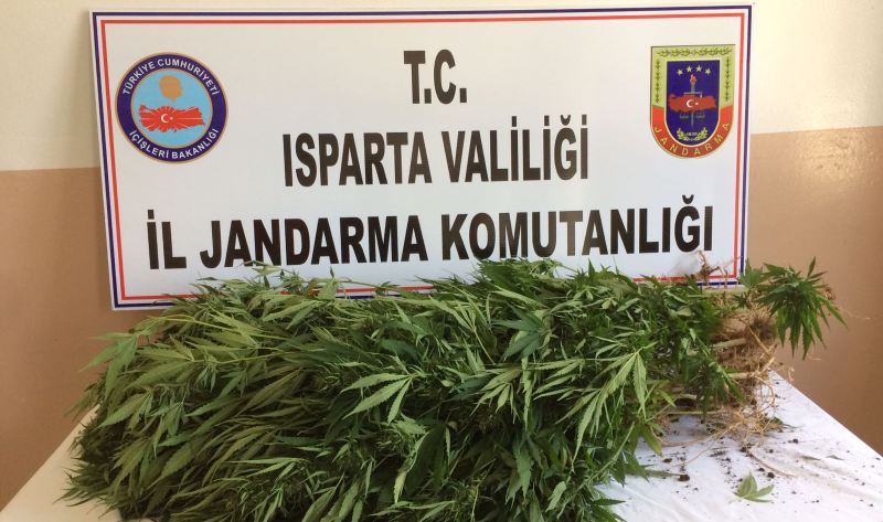 JANDARMADAN UYUŞTURUCU OPERASYONU
