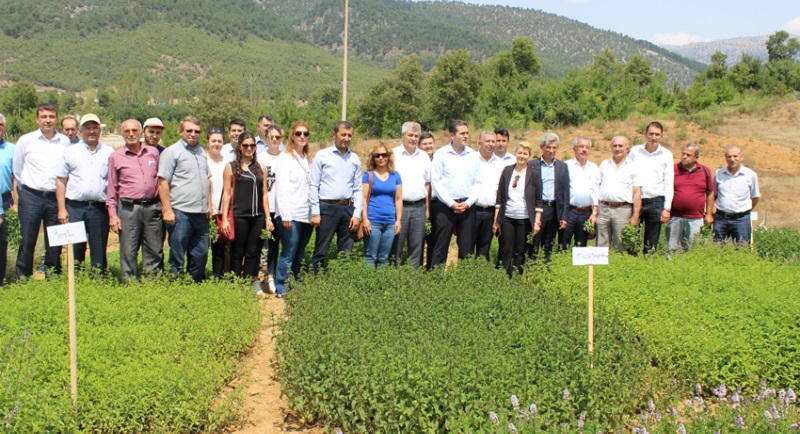 Isparta'nın Aksu İlçesinde Tarla Günü Düzenlendi