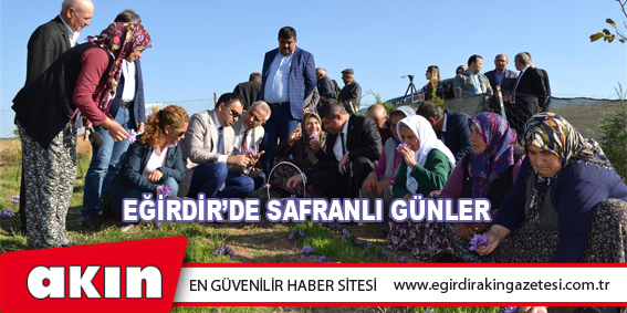 eğirdir haber,akın gazetesi,egirdir haberler,son dakika,Eğirdir’de Safranlı Günler