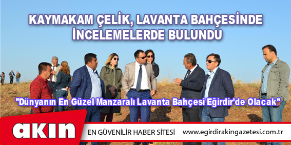 Kaymakam Çelik, Lavanta Bahçesinde İncelemelerde Bulundu