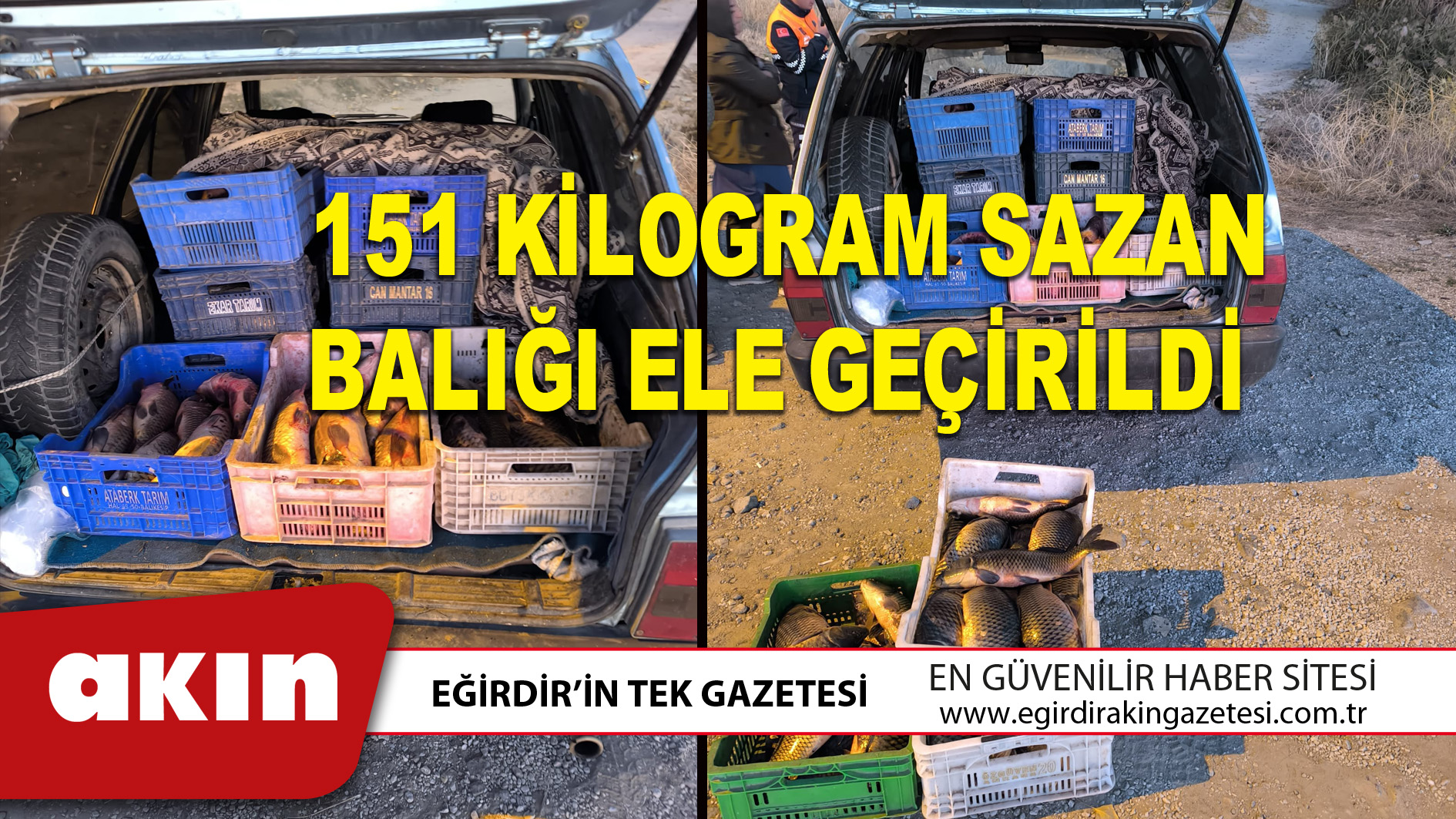 eğirdir haber,akın gazetesi,egirdir haberler,son dakika,151 KİLOGRAM SAZAN BALIĞI ELE GEÇİRİLDİ