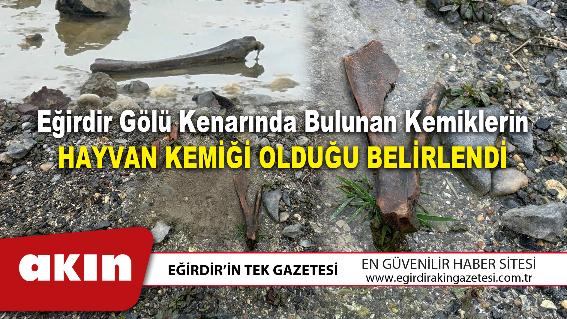 Eğirdir Gölü Kenarında Bulunan Kemiklerin Hayvan Kemiği Olduğu Belirlendi