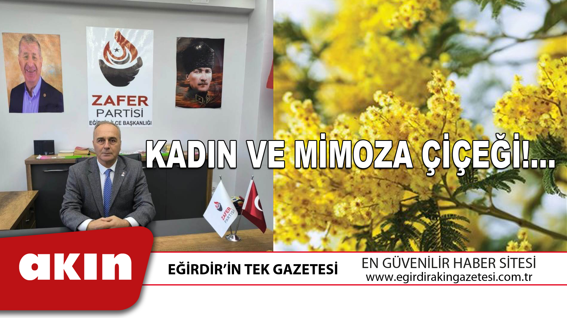 eğirdir haber,akın gazetesi,egirdir haberler,son dakika,KADIN VE MİMOZA ÇİÇEĞİ!...