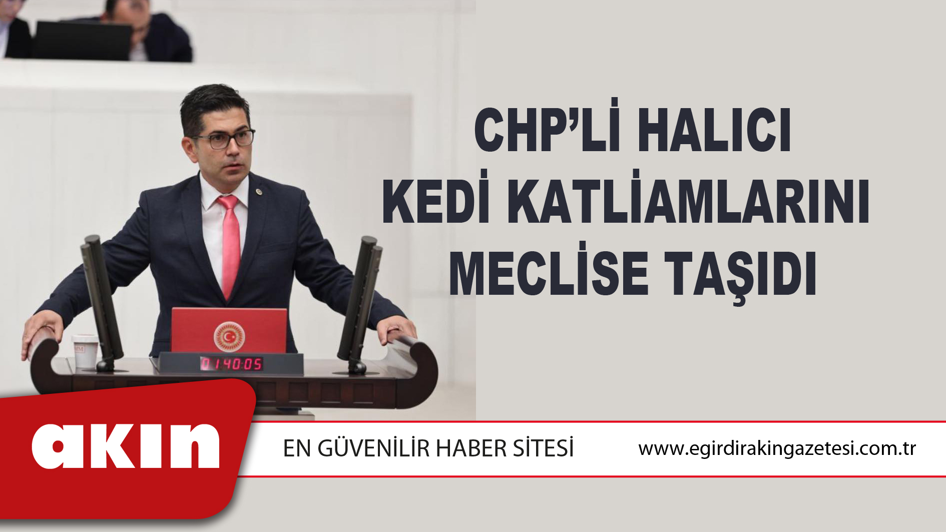 CHP’li Halıcı Kedi Katliamlarını Meclise Taşıdı