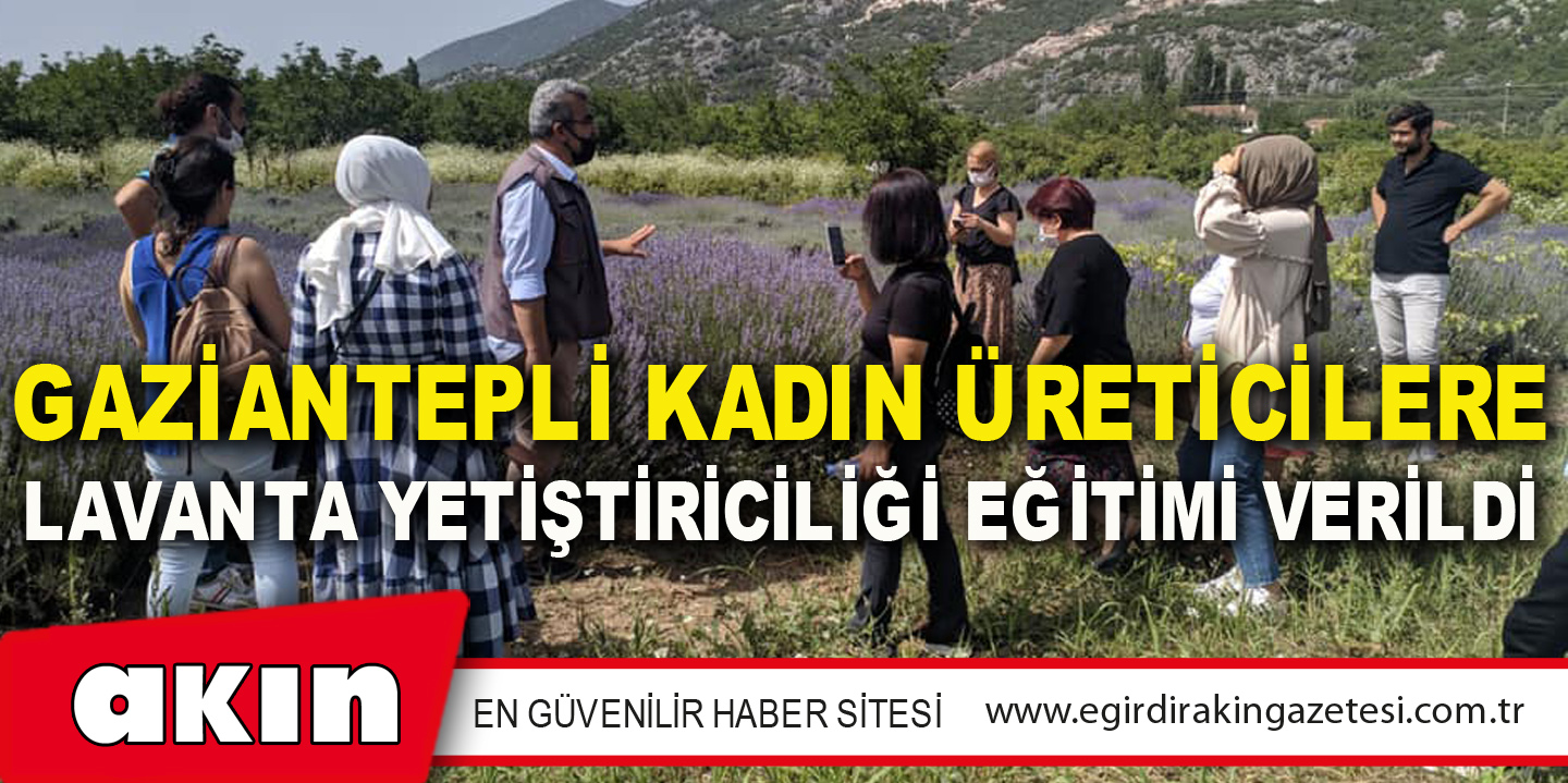 Gaziantepli Kadın Üreticilere Lavanta Yetiştiriciliği Eğitimi Verildi