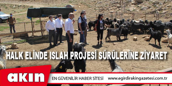 Halk Elinde Islah Projesi Sürülerine Ziyaret