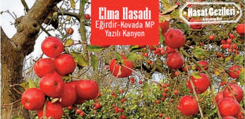 EĞİRDİR?DE ELMA HASADI TURİZMİ CANLANIYOR