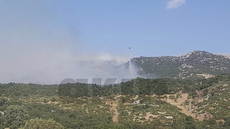 GÖKÇEHÜYÜK'TE ORMAN YANGINI HIZLA YAYILIYOR!