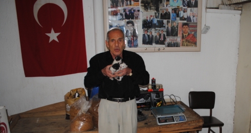ÇÖPE ATILAN KEDİ YAVRULARINA SAHİP ÇIKTI