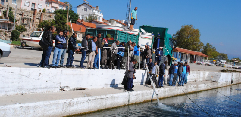 DSİ, EĞİRDİR GÖLÜ'NE 200 BİN YAVRU SAZAN BALIĞI SALDI