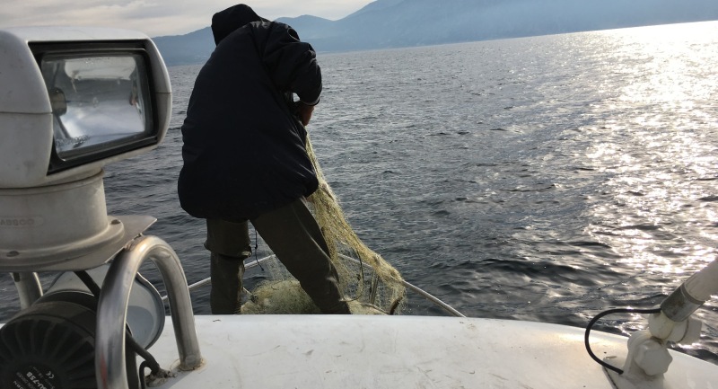 Su Ürünleri Av Yasağı Denetimleri Tüm Hızıyla Devam Ediyor