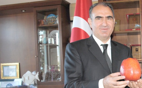 ELMA KONSEYİ KURULACAK