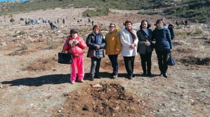 eğirdir,egirdir haber,akın gazetesi