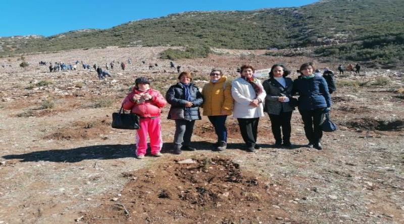 eğirdir,egirdir haber,akın gazetesi