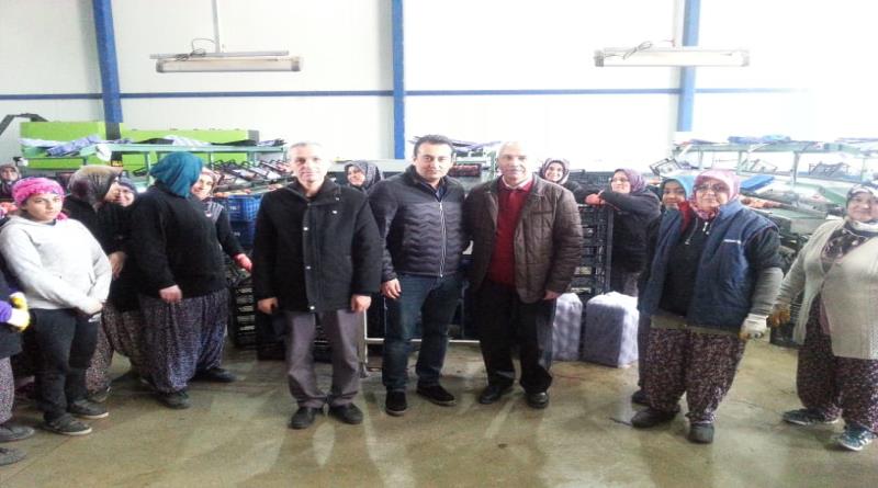 eğirdir,egirdir haber,akın gazetesi