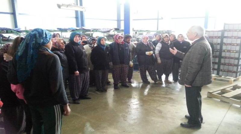 eğirdir,egirdir haber,akın gazetesi