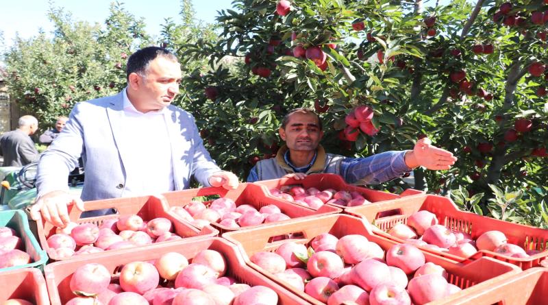 eğirdir,egirdir haber,akın gazetesi