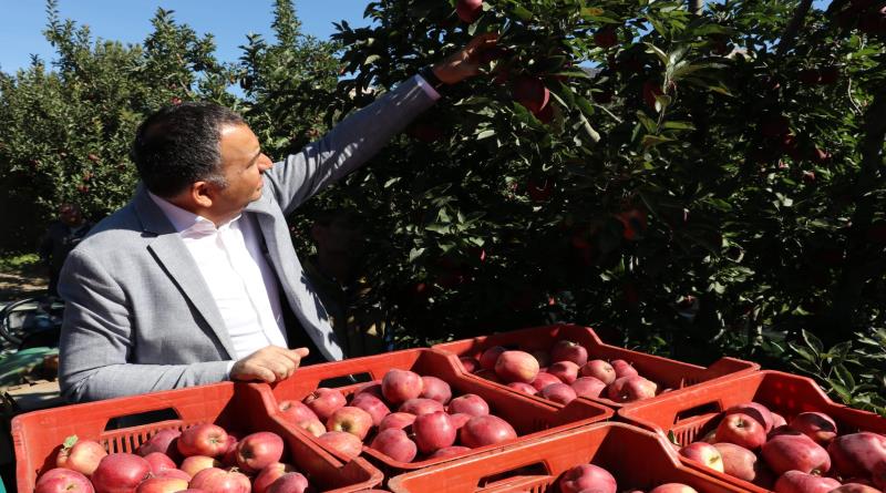 eğirdir,egirdir haber,akın gazetesi