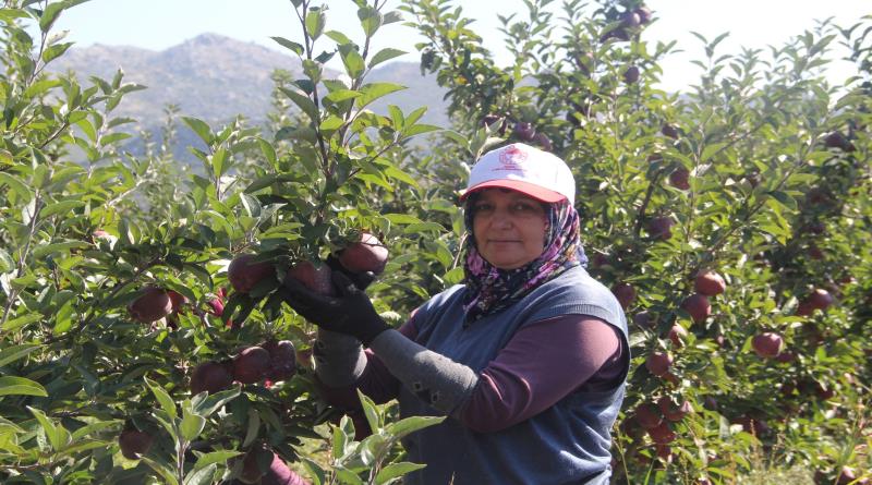 eğirdir,egirdir haber,akın gazetesi