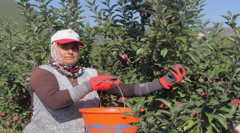 eğirdir,egirdir haber,akın gazetesi