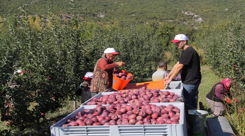 eğirdir,egirdir haber,akın gazetesi
