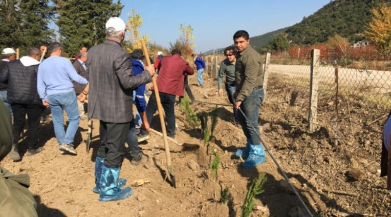 eğirdir,egirdir haber,akın gazetesi